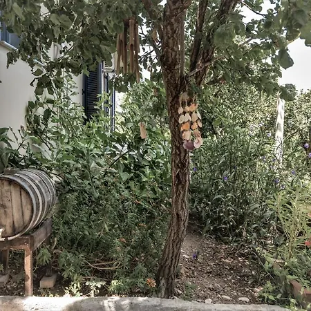 Marilena With Jacuzzi וילה *